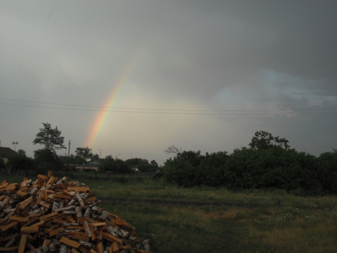 После дождя - `Подари другу радугу` - Конкурс на лучшее фото радуги.