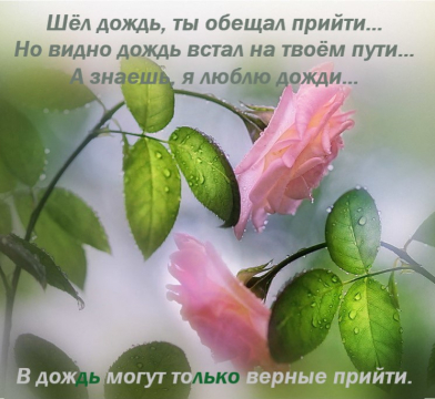 дождь... - Нина Николаевна Гончарова