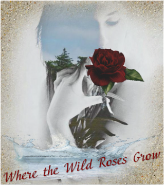 Where the wild roses grow -   
