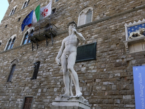 David Di Michelangelo -   